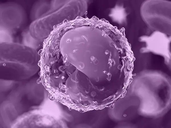 MDS precursor conditions