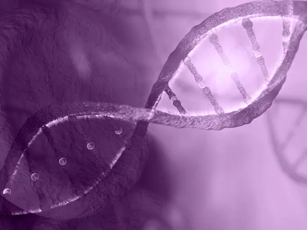 MDS-related mutations
